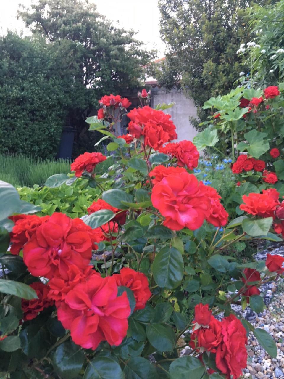 Bed and Breakfast Campagn'Art Les Fosses Екстер'єр фото